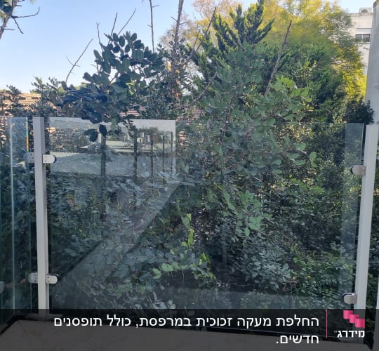 מעקה זכוכית עם נוף של עצים ברקע